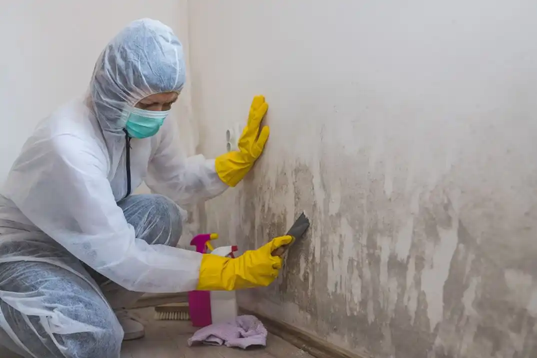 water damage restoration service Thunderbird